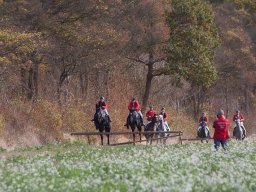 IMG_9702web